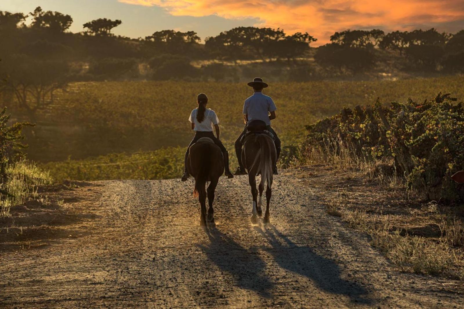 Herdade Do Sobroso Wine & Luxury Boutique 2*