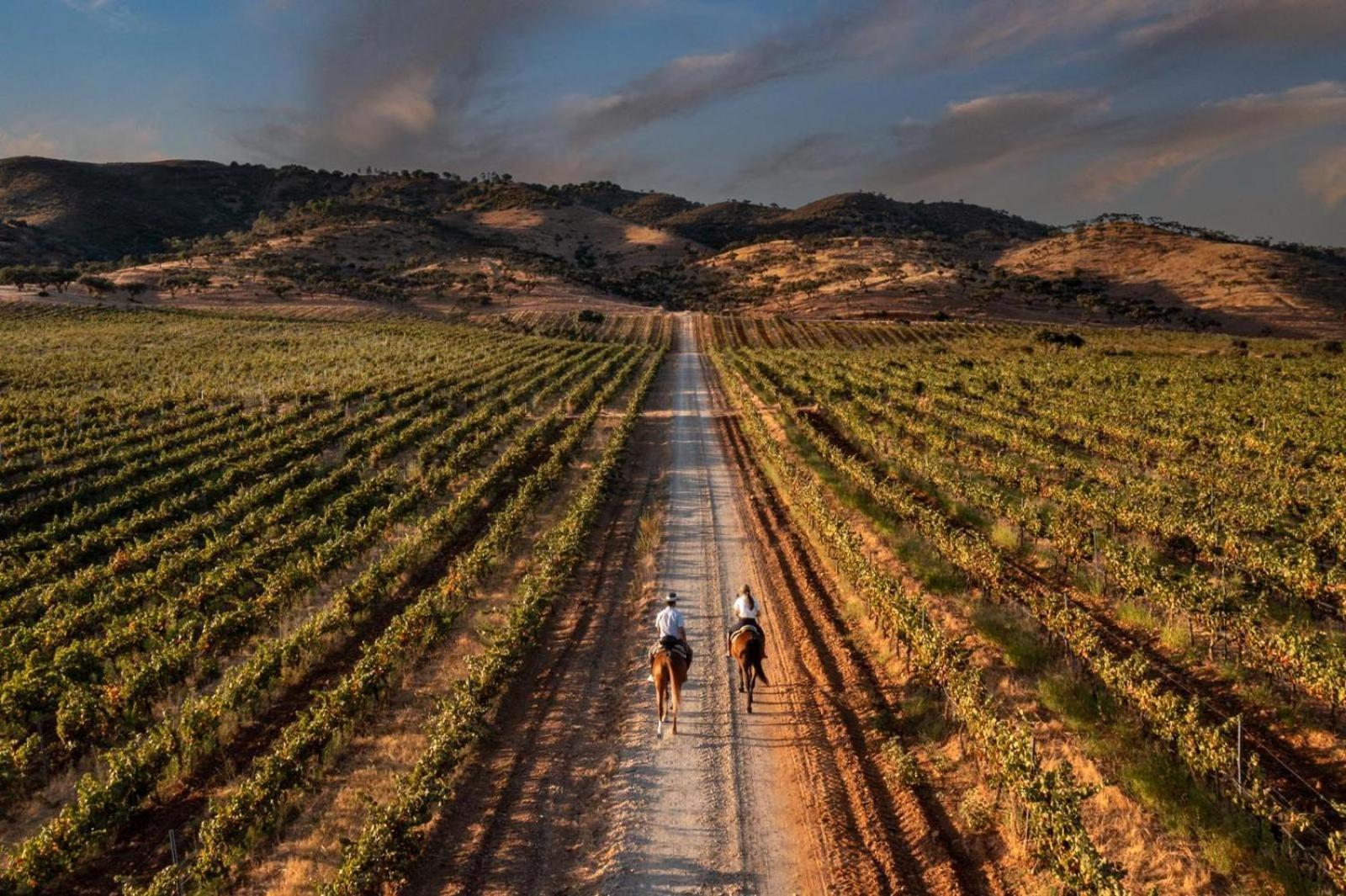Casa de hóspedes Herdade Do Sobroso Wine & Luxury Boutique